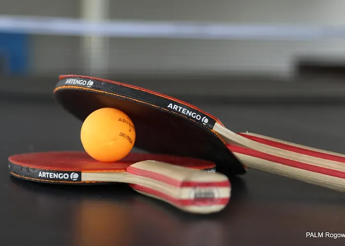 Palm * Rogowo (Gryfice)